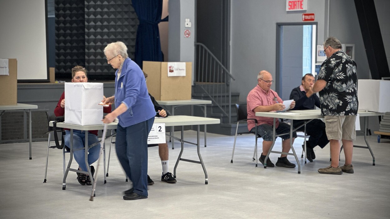 Référendum sur les éoliennes : les Saint-Mauriciens se prononcent