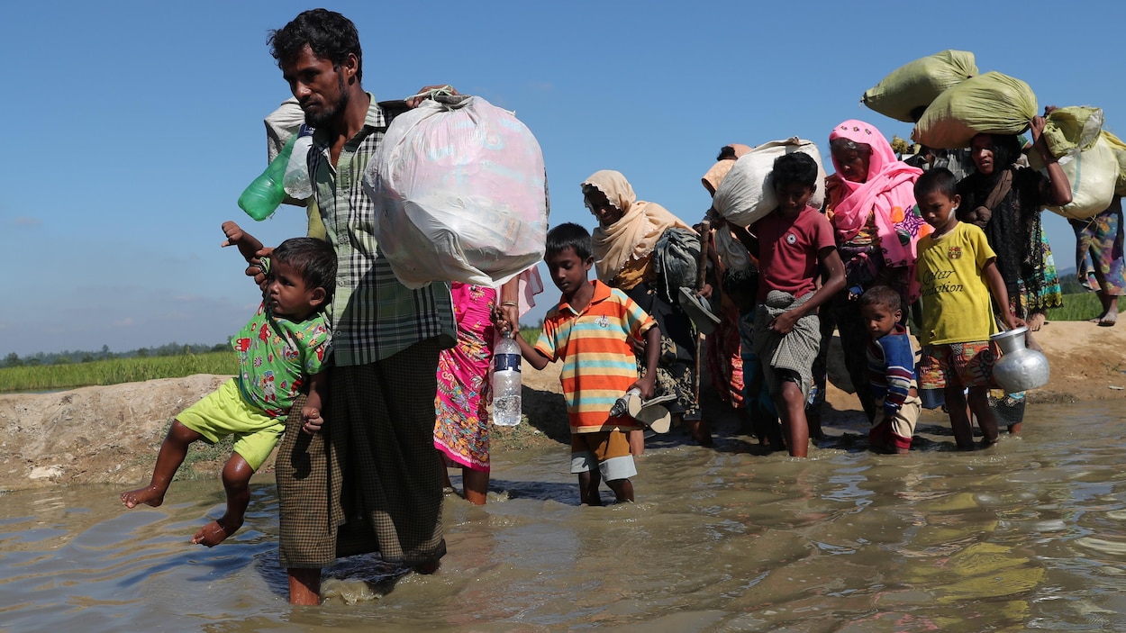 Des réfugiés rohingyas tentent de rejoindre la frontière du Bangladesh à pied. Des réfugiés rohingyas tentent de rejoindre la frontière du Bangladesh à pied.