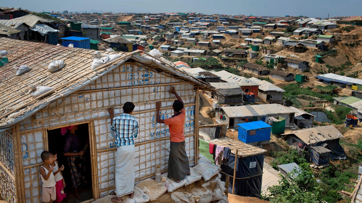 Quelque 711 000 Rohingyas ont trouvé refuge au Bangladesh en huit mois, après avoir fui la persécution dans l'État de Rakhine, au Myanmar.