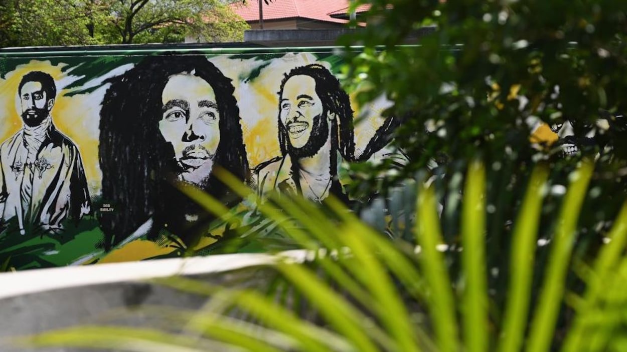 Une murale au milieu de la végétation