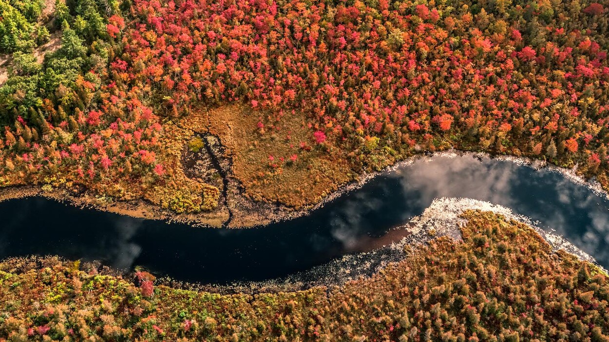 Vue aérienne avec des arbres en rouge et vert et une rivière.
