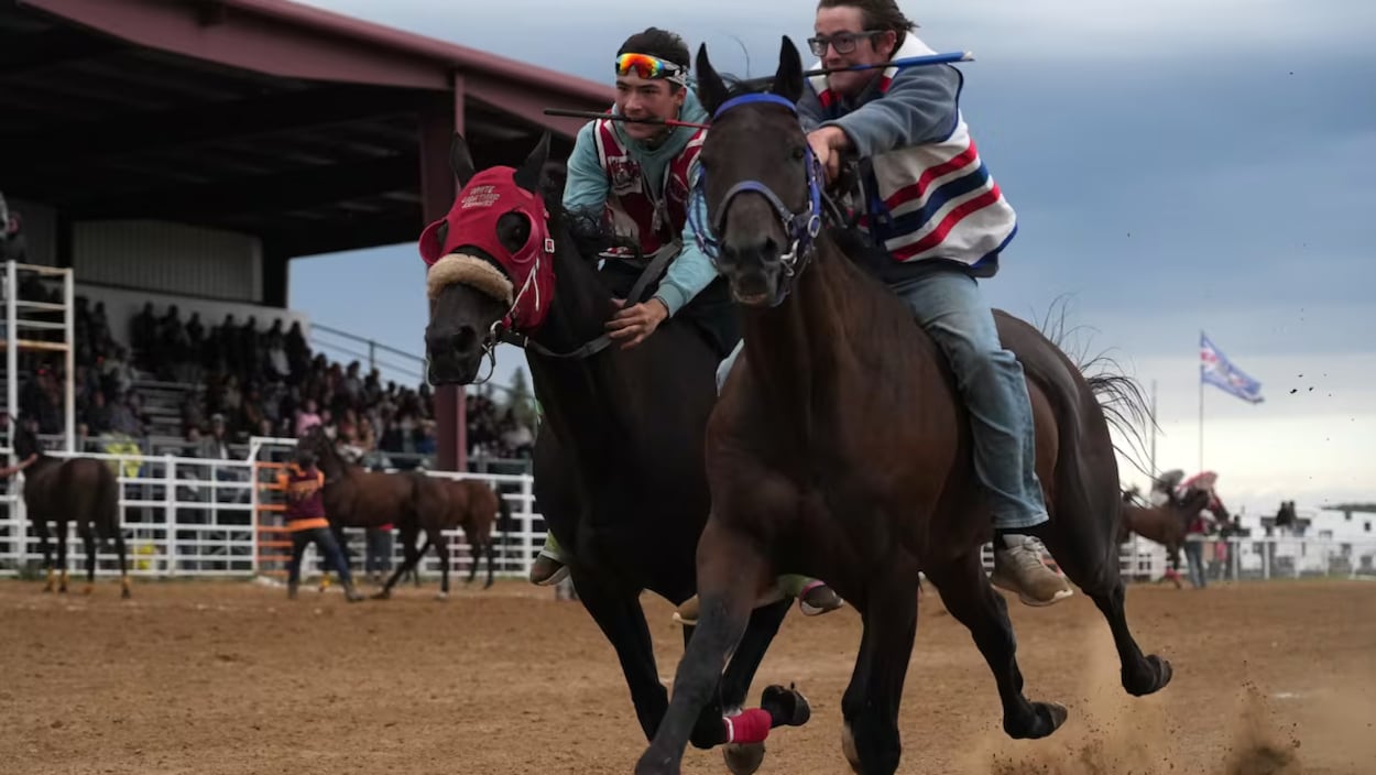 Le relais extrême à cheval, un sport autochtone en plein essor dans les Prairies