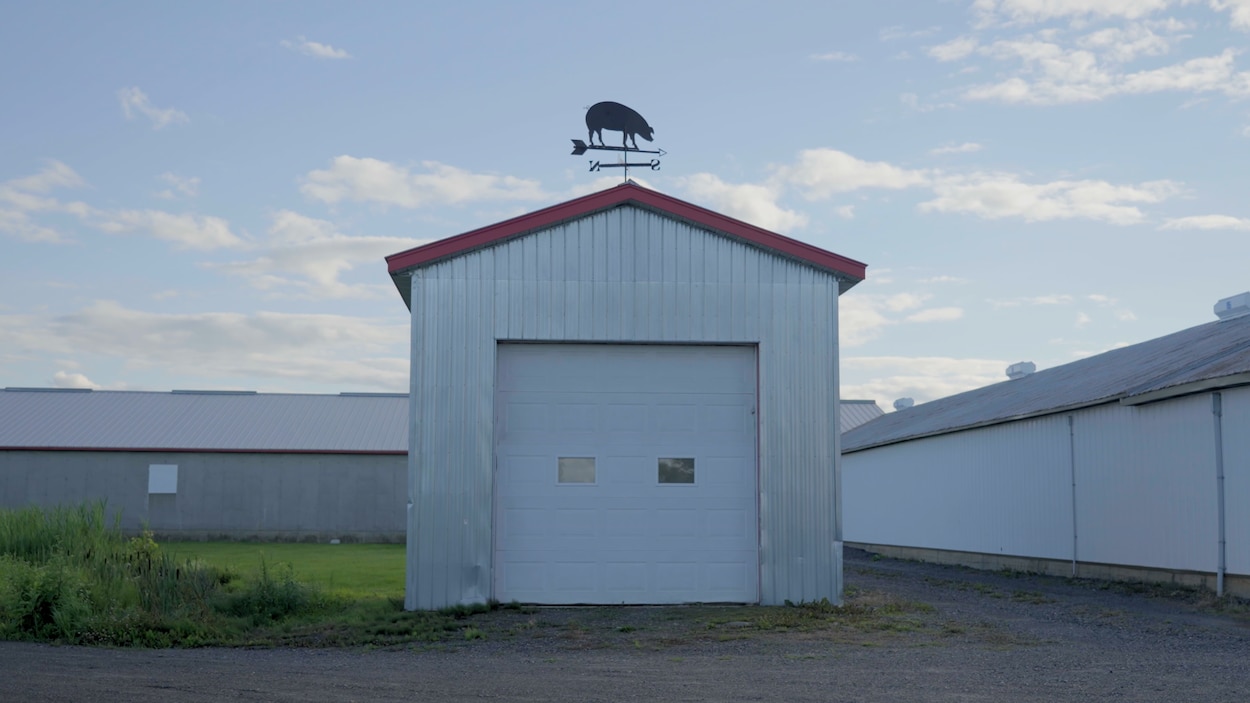 Relève agricole, un chemin semé d’embûches – Mathis