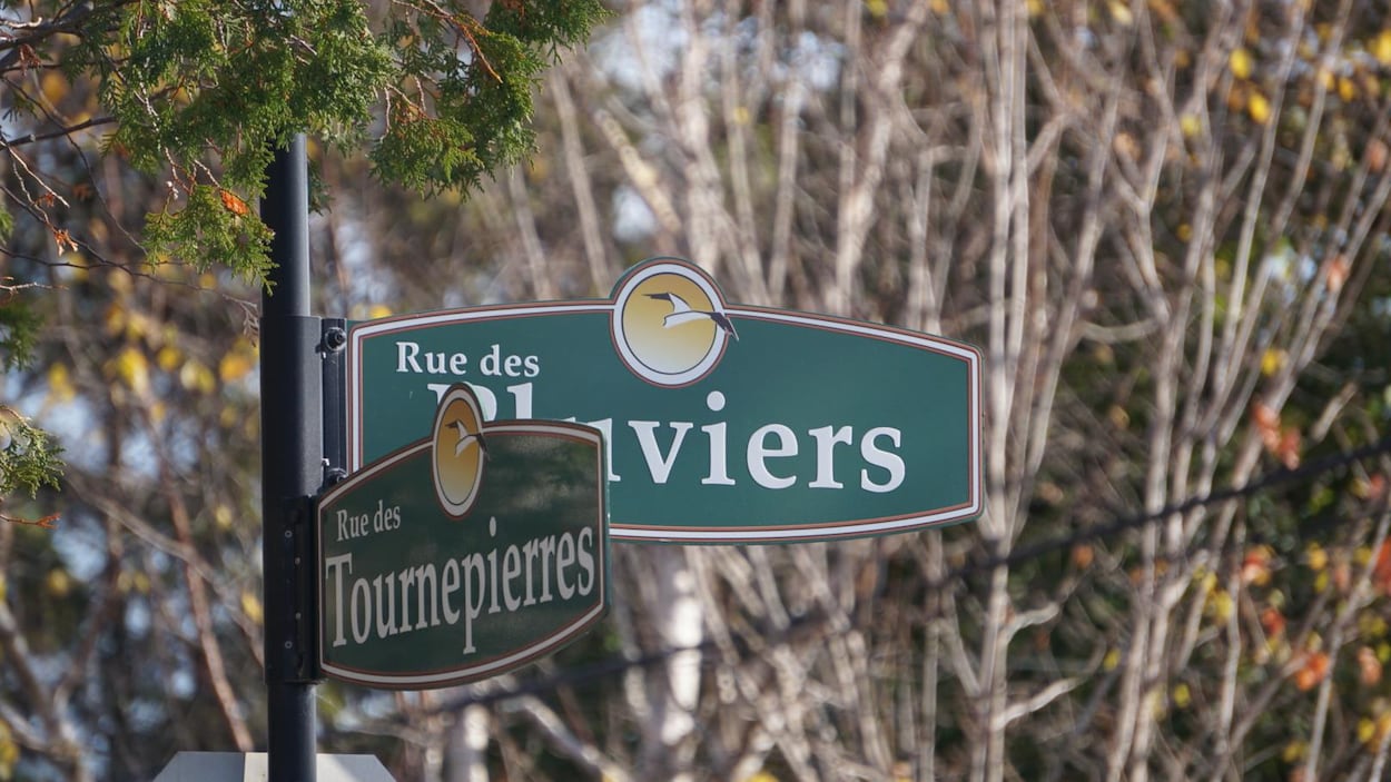 Maria : déplacer les maisons de la pointe Verte sera un « défi »