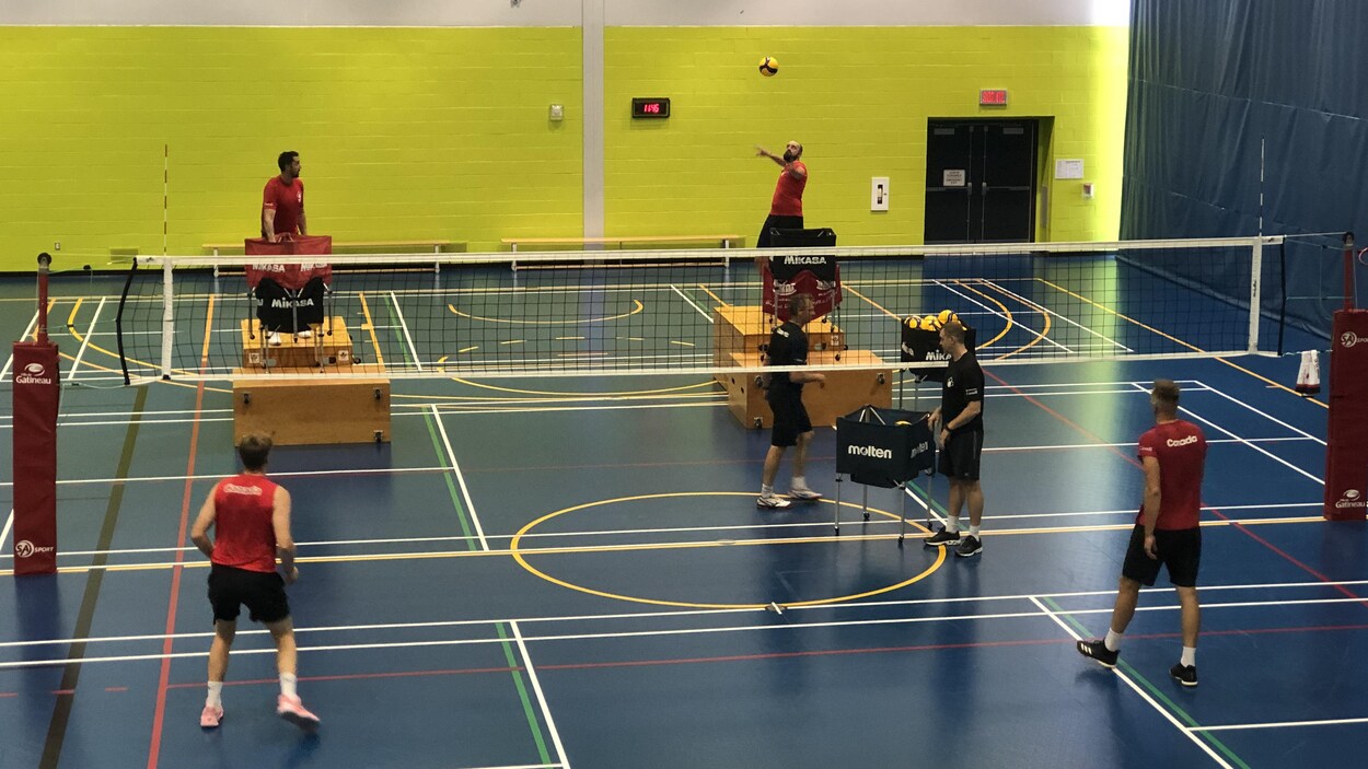 Quatre joueurs de volleyball et deux entraîneurs pendant un entraînement.