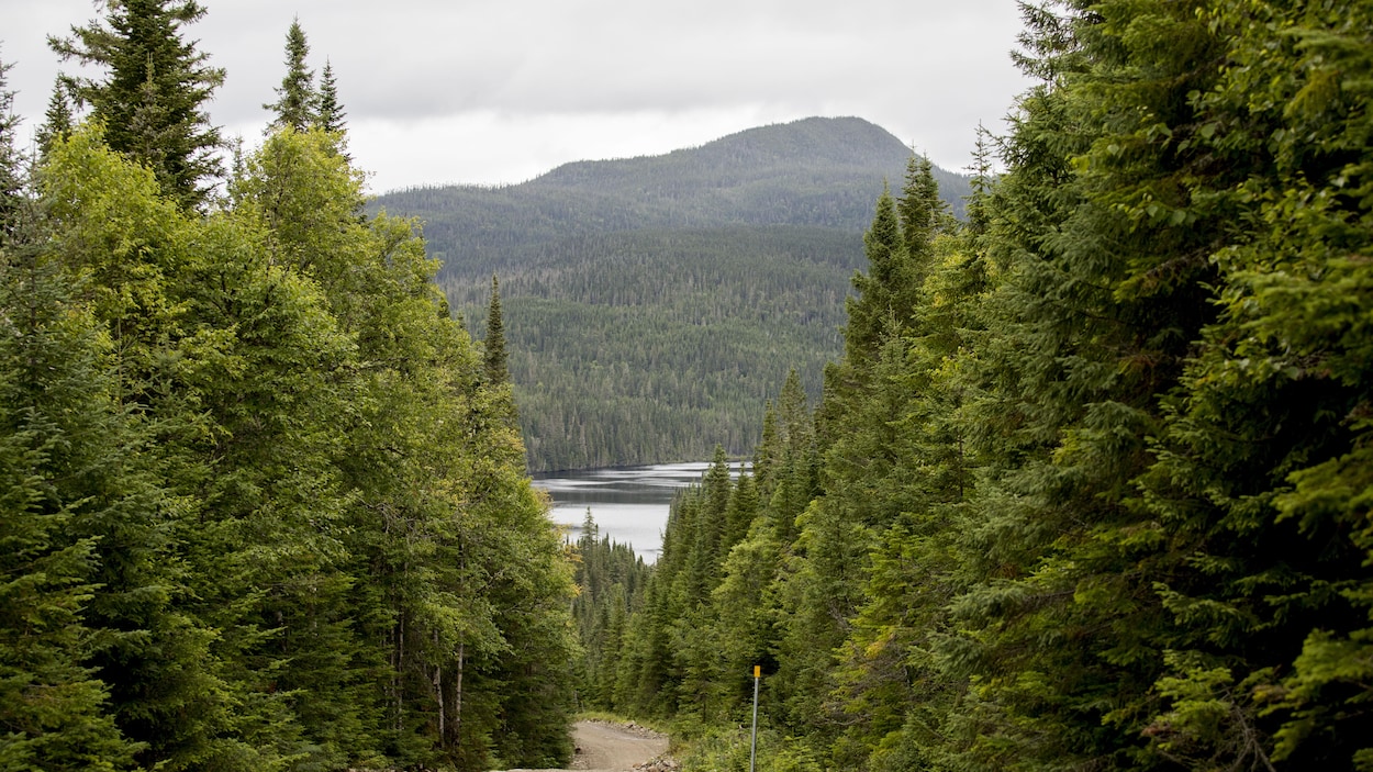 Jean Tremblay veut une réserve faunique des Laurentides ouverte aux investisseurs privés