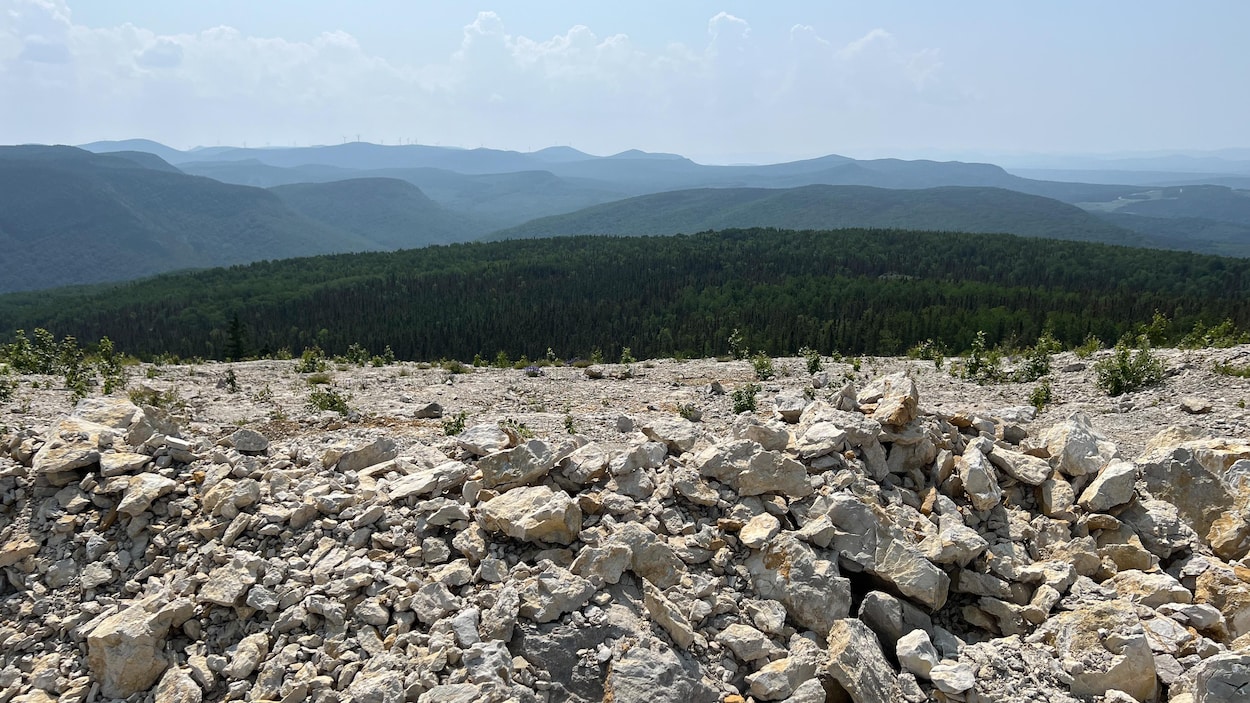 Vers une protection du territoire plus adaptée en Gaspésie?