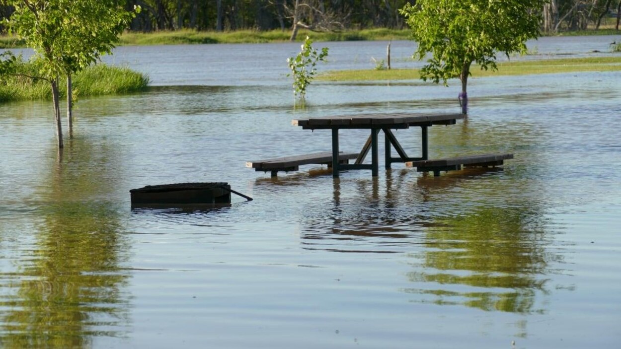 Un banc public dans l’eau.