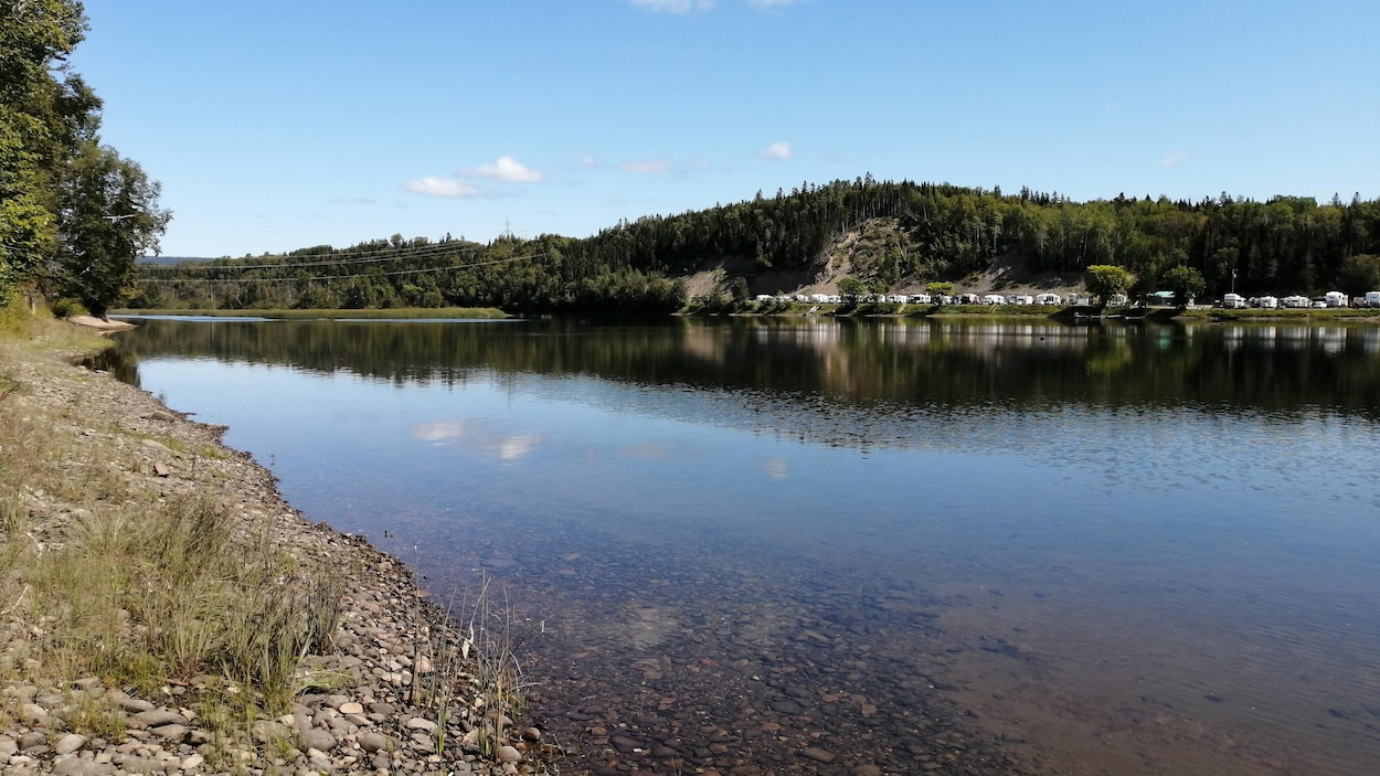 Un secteur calme de la rivière Cascapédia, devant un camping où sont installées plusieurs véhicules récréatifs.