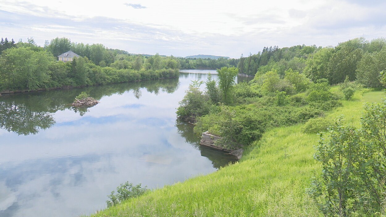Rivière Mitis