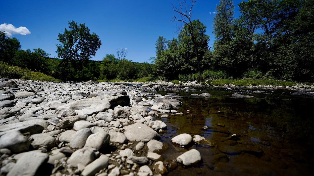 La pêche difficile dans la rivière Nicolet presque à sec