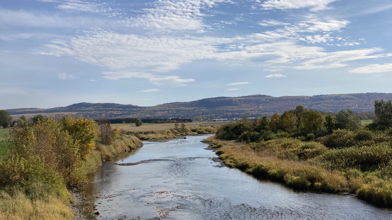 Québec suspend l’échantillonnage dans au moins 6 rivières du Bas-Saint-Laurent
