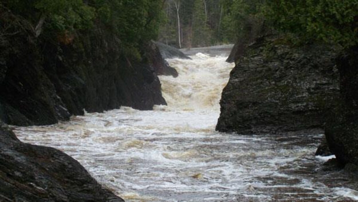 La rivière Ouelle, à la hauteur de Saint-Pacôme.