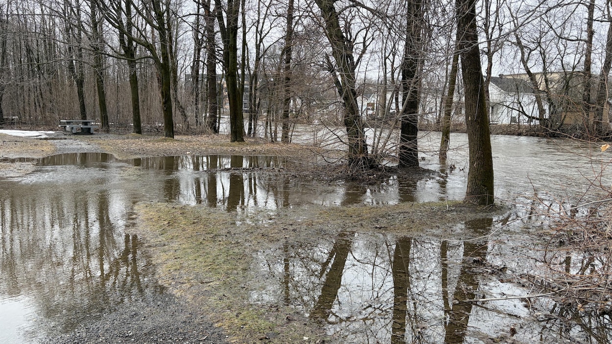 Pluie abondante, inondations mineures et rivières sous surveillance