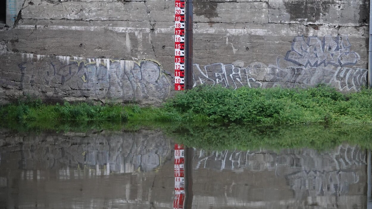 Le niveau de la rivière Saint-François à Sherbrooke.