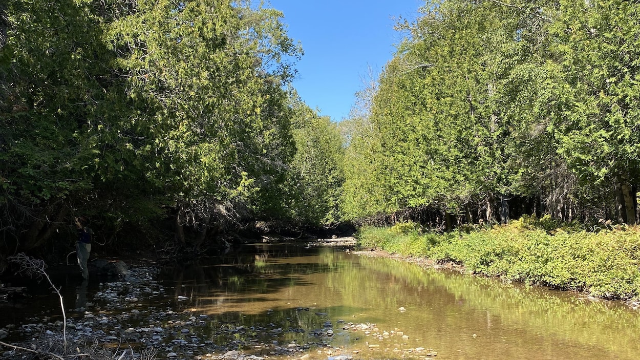 Un panneau interactif pour le suivi de la rivière Saint-Siméon