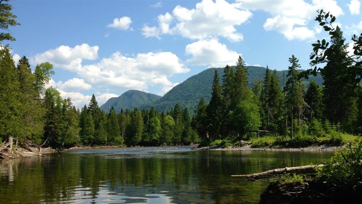 Parc de la Gaspésie
