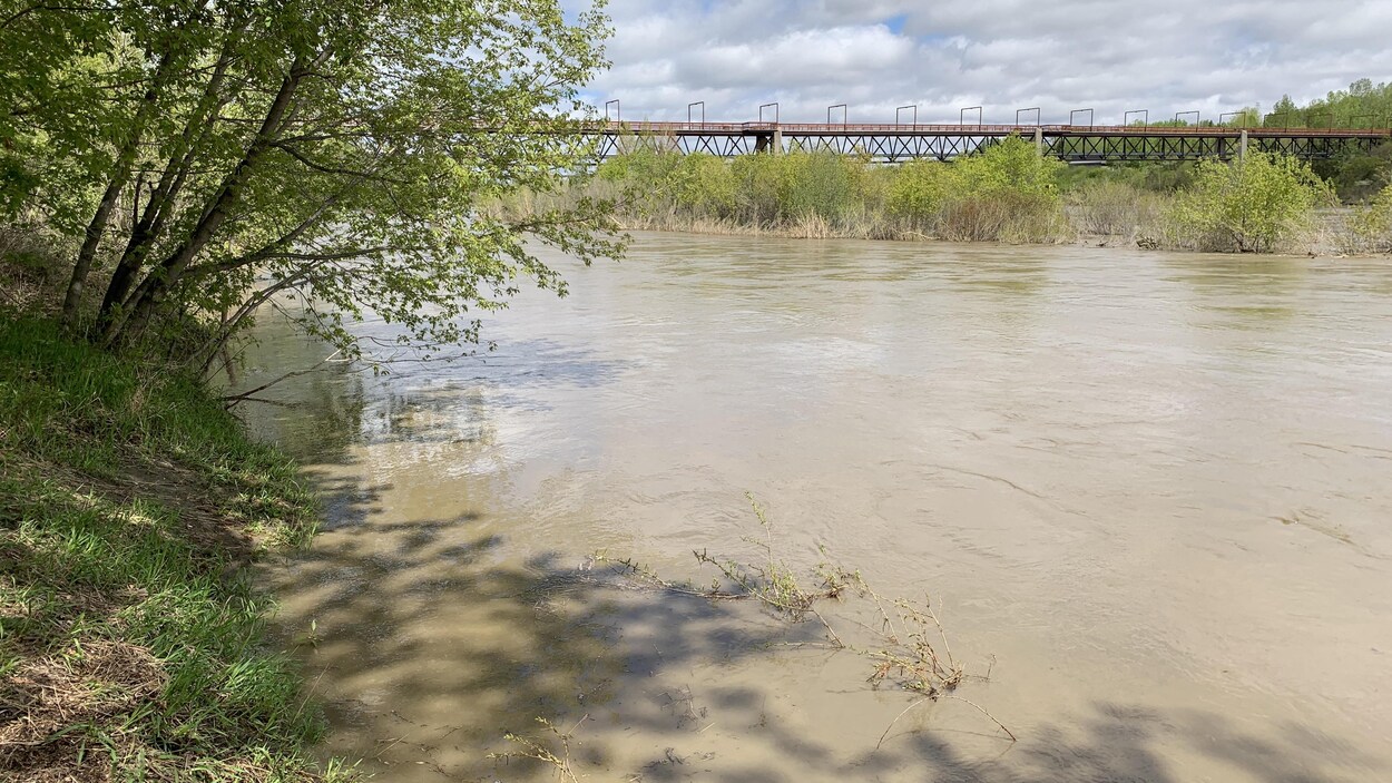 Le niveau de la rivière est élevé et déborde un peu sur le terrain.