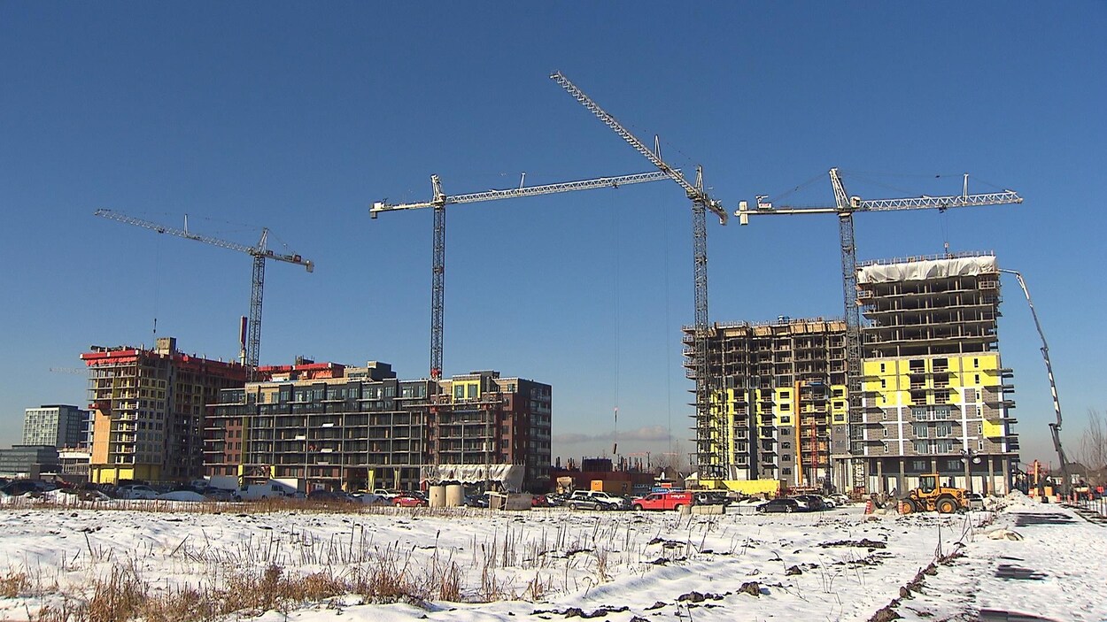 Des immeubles en construction. 