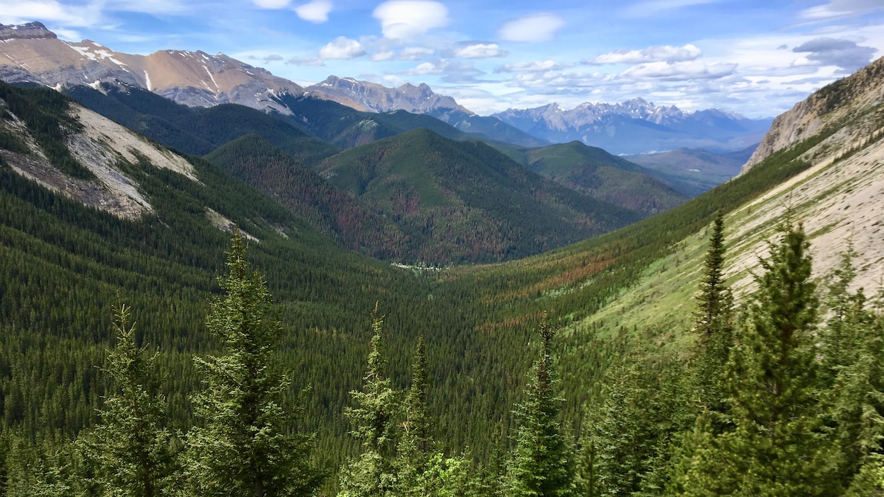 De grosses montagnes, des arbres verts et un ciel bleu.