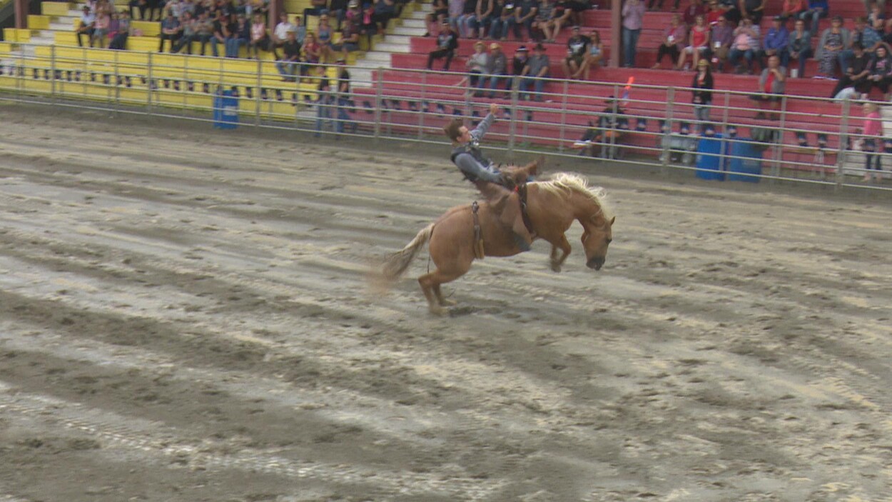 Un homme sur cheval qui saute dans un stade.
