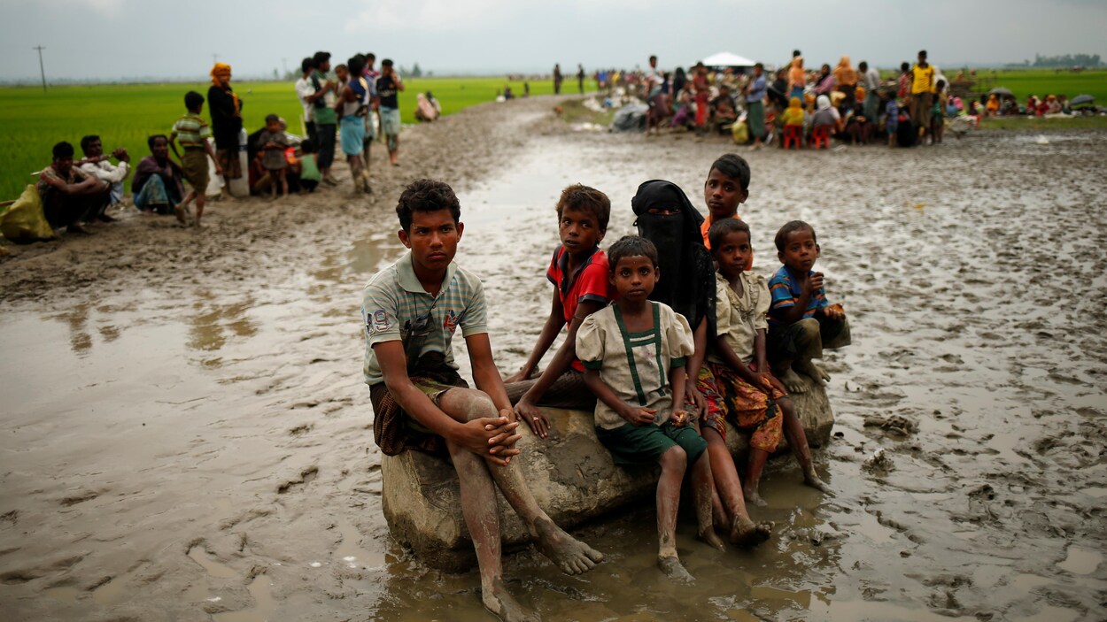 Des Rohingyas sont détenus par les garde-frontières du Bangladesh dans une aire ouverte, le 3 septembre. Depuis octobre 2016, au moins 400 000 d'entre eux ont traversé la rivière Naf pour se réfugier au Bangladesh. Des Rohingyas sont détenus par les garde-frontières du Bangladesh dans une aire ouverte, le 3 septembre. Depuis octobre 2016, au moins 400 000 d'entre eux ont traversé la rivière Naf pour se réfugier au Bangladesh.