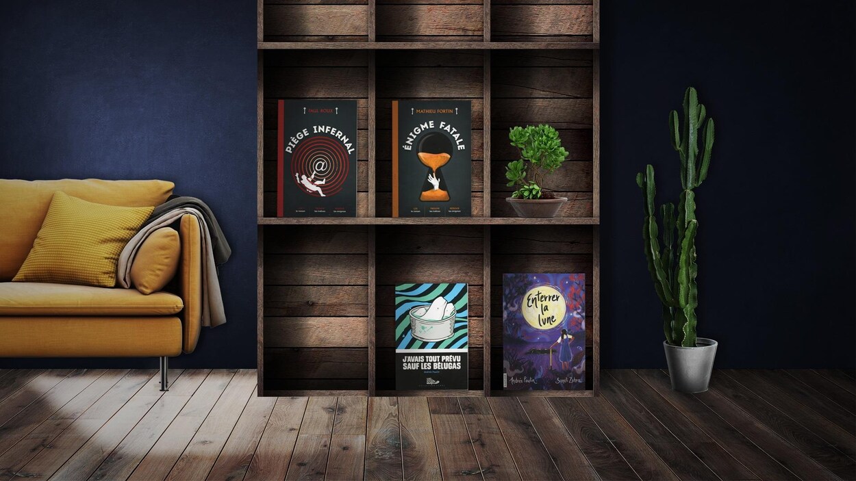 Les quatre romans sont placés dans une bibliothèque en bois, dans un décor de salon incluant un cactus en pot, à droite, et un sofa jaune, à gauche.