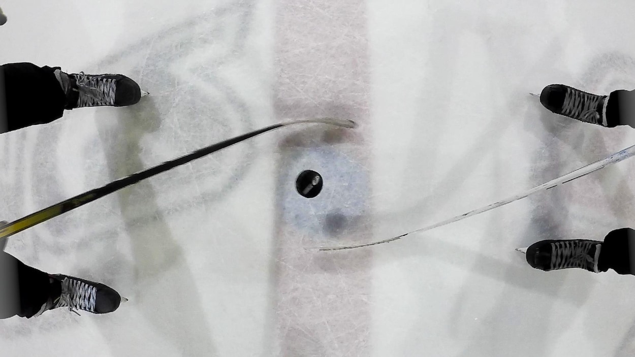 La situation chez Hockey Lévis préoccupe Lévis Force 10