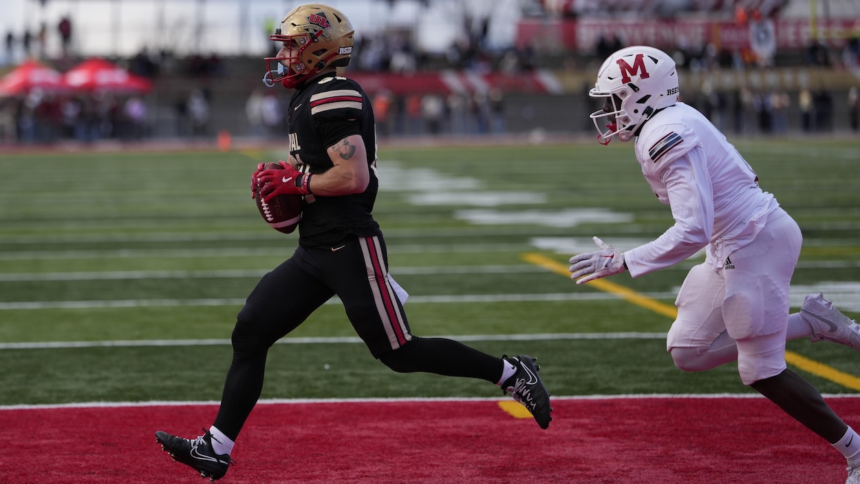 ÉCRIRE ICIFootball : le Rouge et Or de l'Université Laval affrontre les Redbirds de McGill