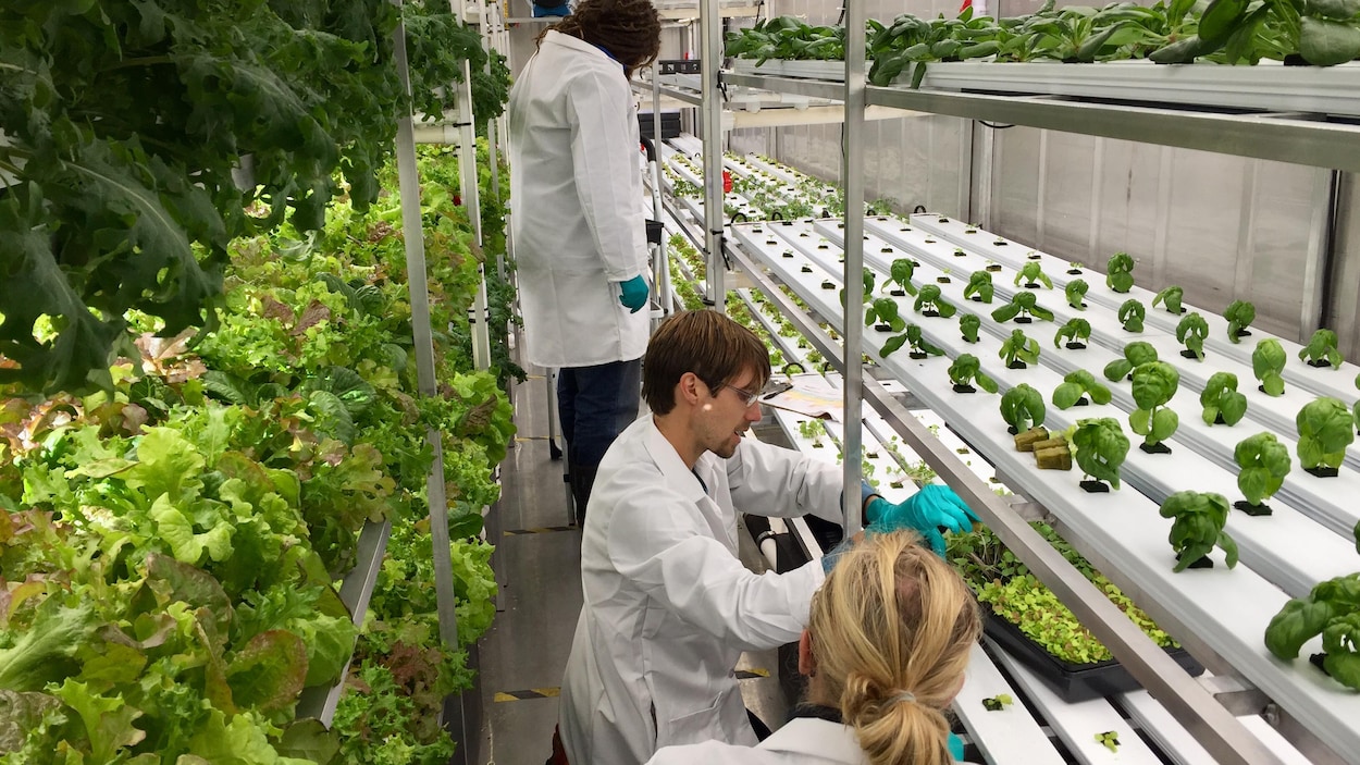 Des légumes frais cultivés sur la lune? Découvrez la ferme du futur!