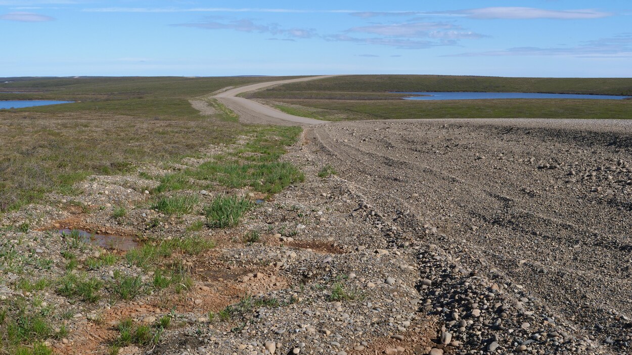 Une route de gravier s'étend à travers le vert de la toundra sous un ciel bleu. 