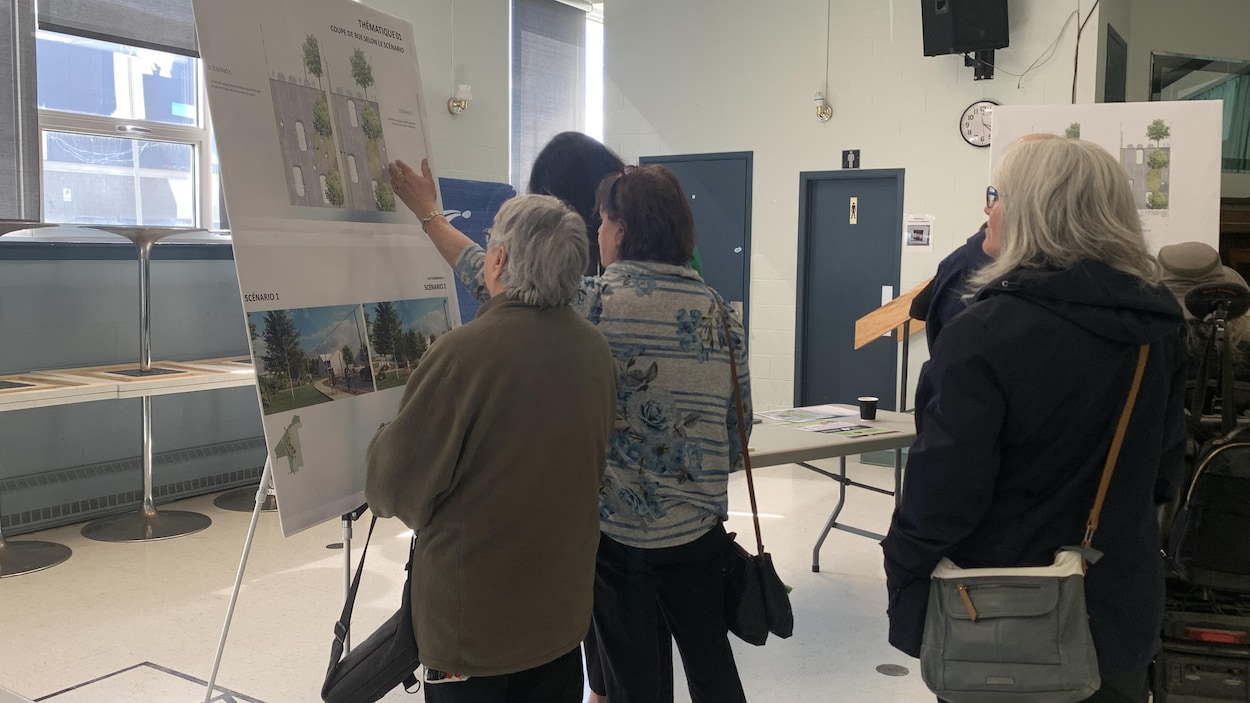 Quartier Dallaire : deux scénarios pour aménager 17 terrains résidentiels