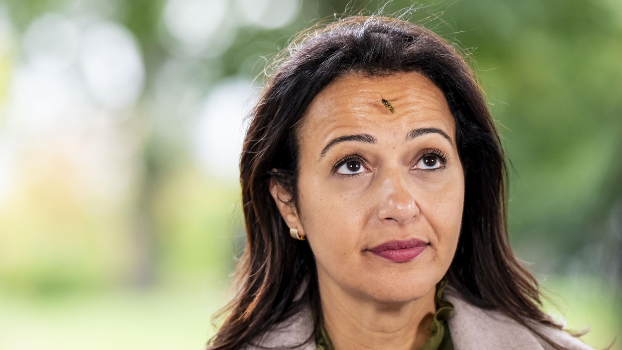 Ces photos cocasses de campagne que vous n’avez pas vues