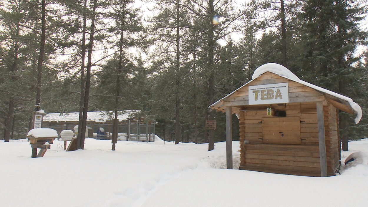 Une cabane en bois marquée du sigle de l'Association avec des ruches en arrière-plan. Le tout est recouvert de neige. Une cabane en bois marquée du sigle de l'Association avec des ruches en arrière-plan. Le tout est recouvert de neige.