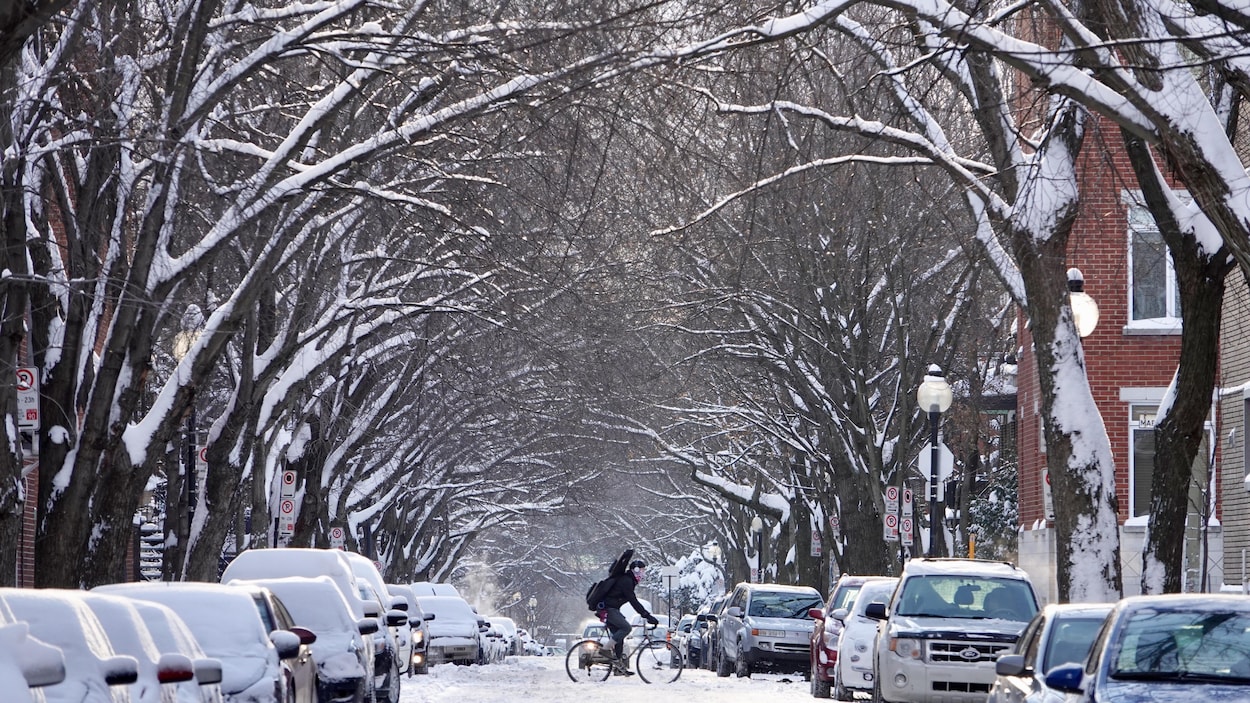 Un cycliste circule dans une rue enneigée à Montréal