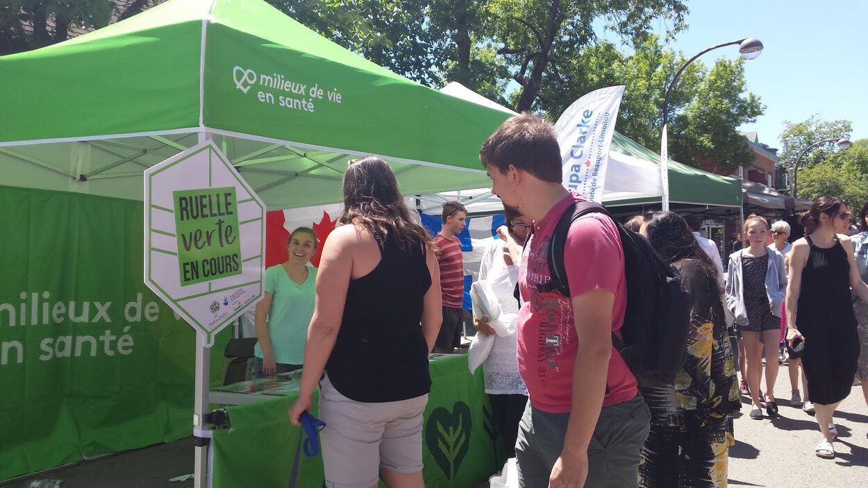 Nature Québec a dévoilé les quatre tronçons choisis dans le Vieux-Limoilou pour être transformés en ruelles vertes