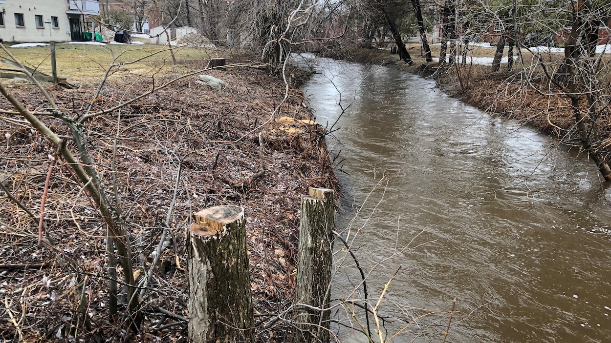 Veilles et risques d’inondations dans plusieurs localités du Nord