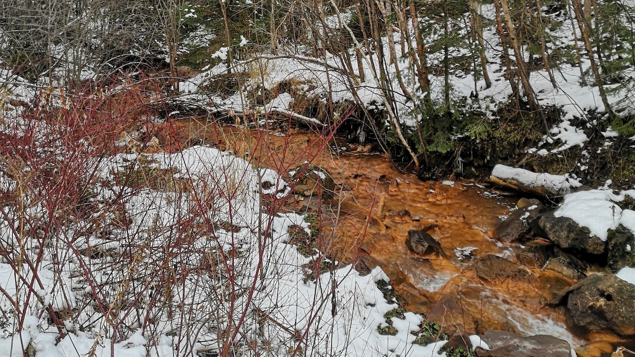 Déversements dans la rivière Rimouski : les travaux dépasseront les 4,5 M$