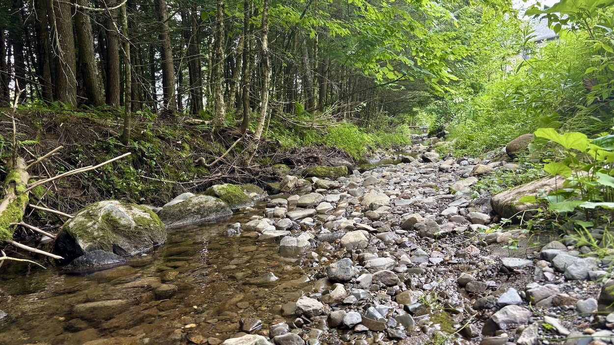Des résidents du secteur Beauvoir craignent de nouvelles inondations