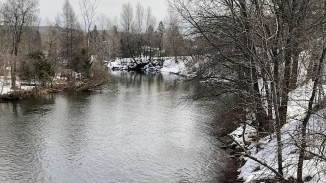 site de rencontre edmundston