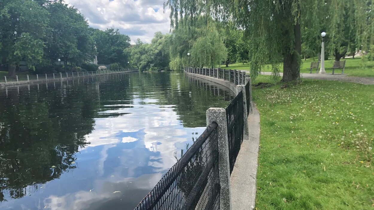 Le ruisseau traverse un parc pendant l'été.