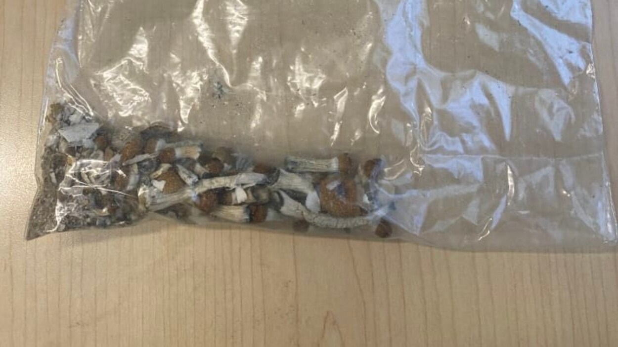 Sac De Recherche Géocache Neuf Sans Emballage