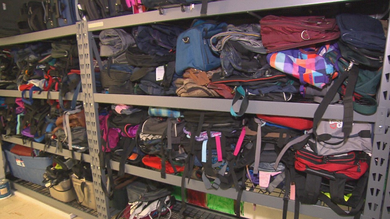Un étalage avec des sacs.