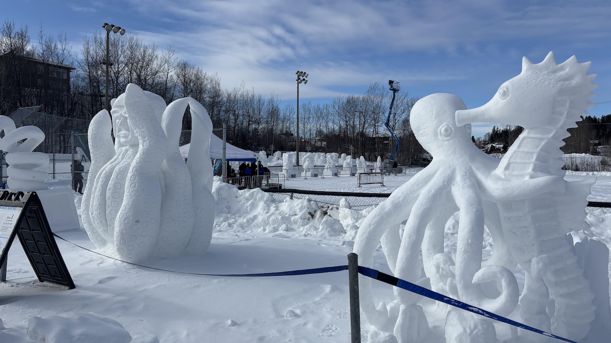 Une nouvelle édition couronnée de succès pour Saguenay en neige