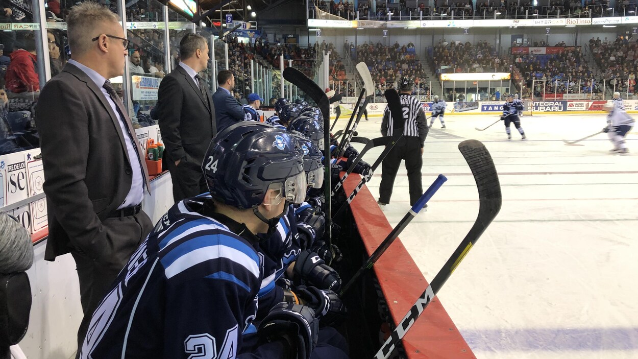 Des joueurs de hockey assis au banc avec des entraîneurs debout derrière.
