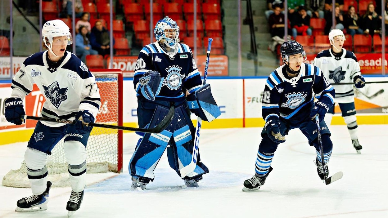 Quatre joueurs des Saguenéens dans l’équipe de la semaine de la LHJMQ