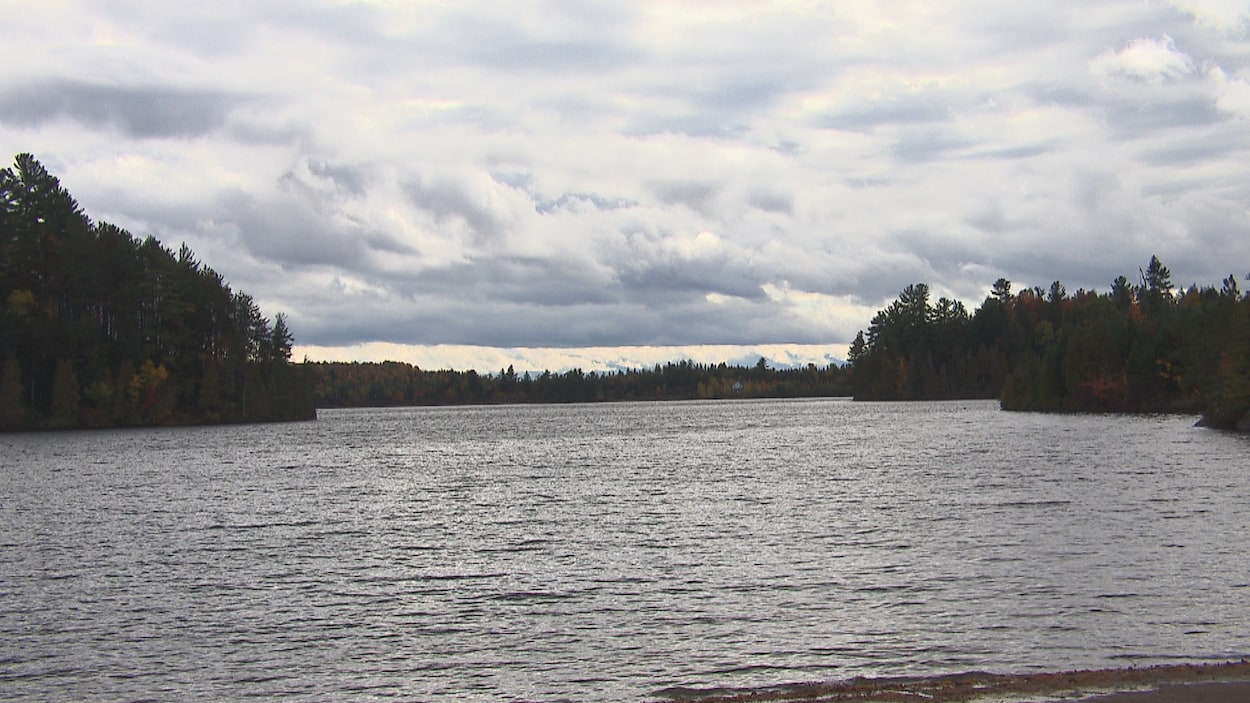Un lac entouré d'arbres.