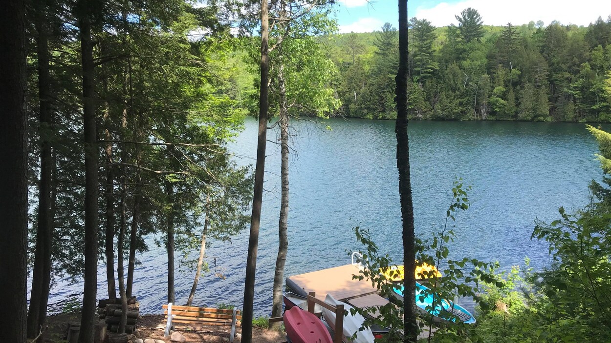 La location de chalets en Mauricie connaît un engouement sans précédent.