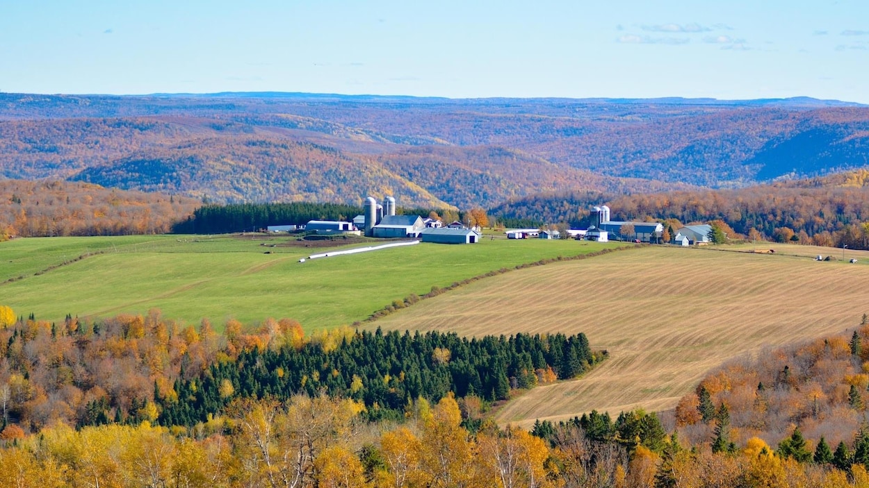 Faute déontologique alléguée à Saint-André-de-Restigouche
