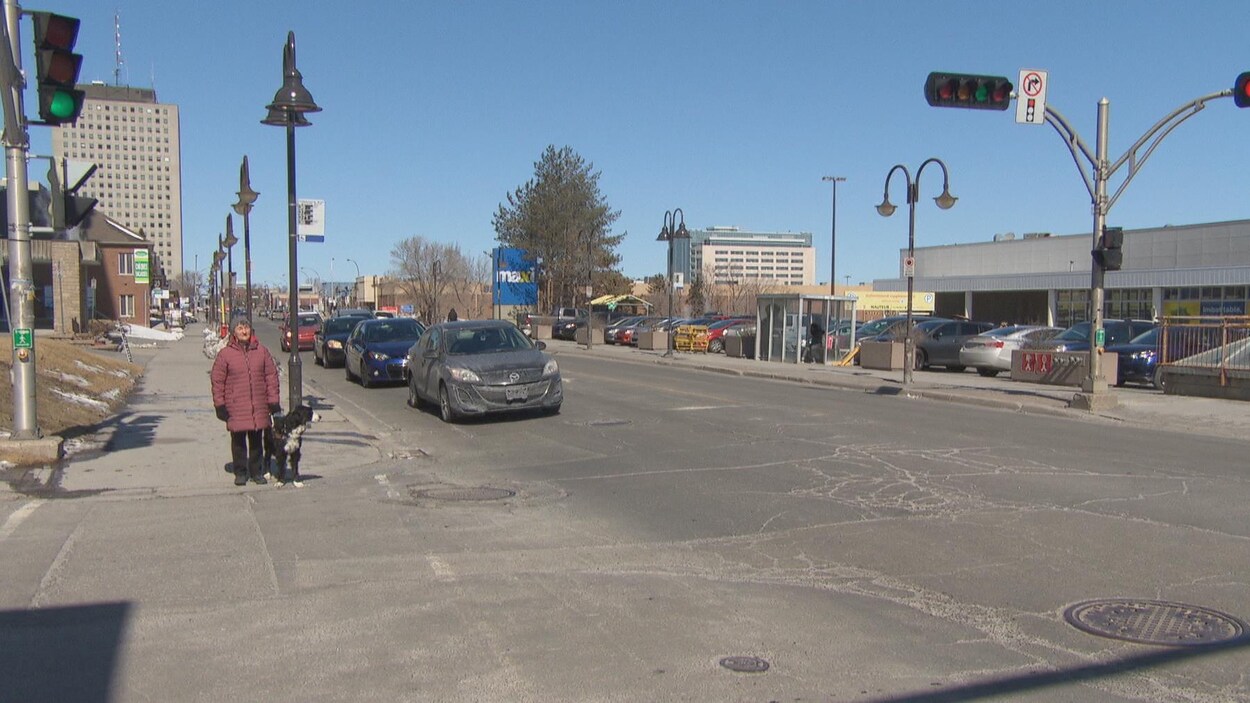 Une femme avec son chien-guide marche sur le boulevard Saint-Joseph à Gatineau. (Archives)